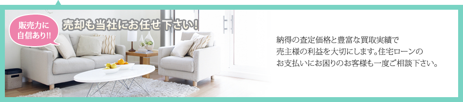 �[���̍��艿�i�ƖL�x�Ȕ�����тŔ���l�̗��v���؂ɂ��܂��B